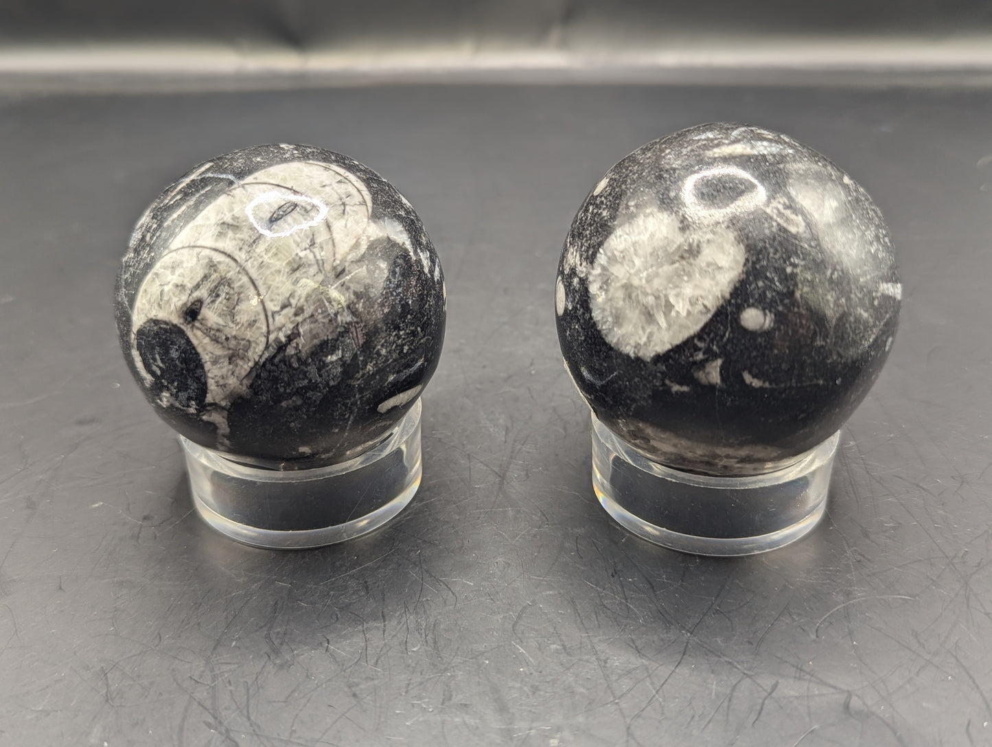 Orthoceras Sphere