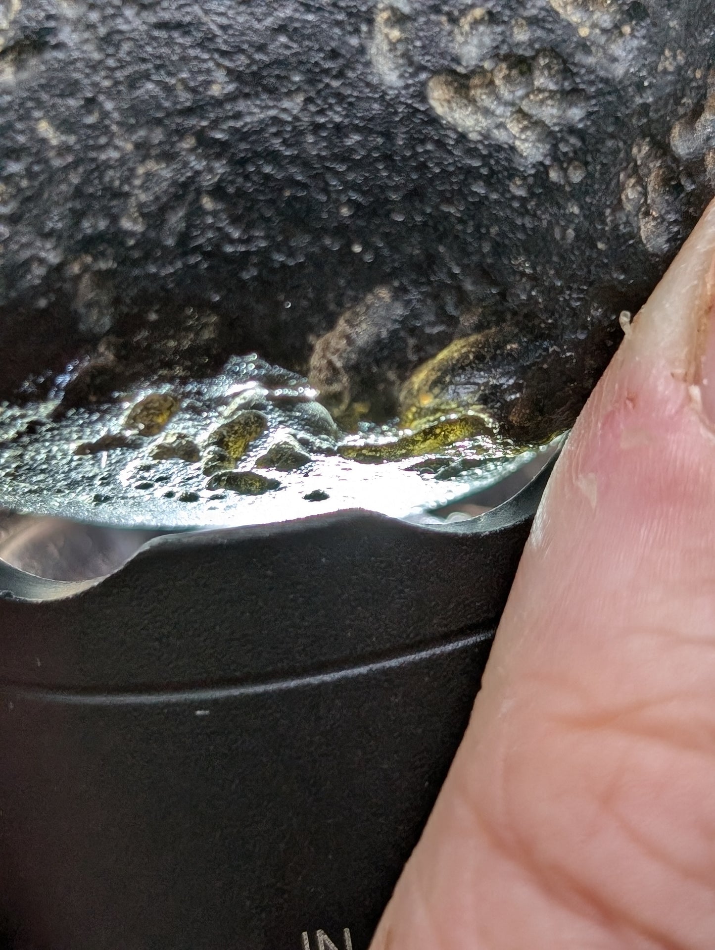 Raw Tektite