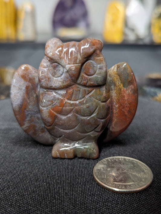 Ocean Jasper Owl