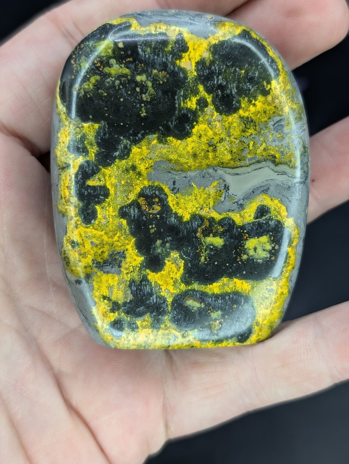 Bumblebee Jasper Freeforms