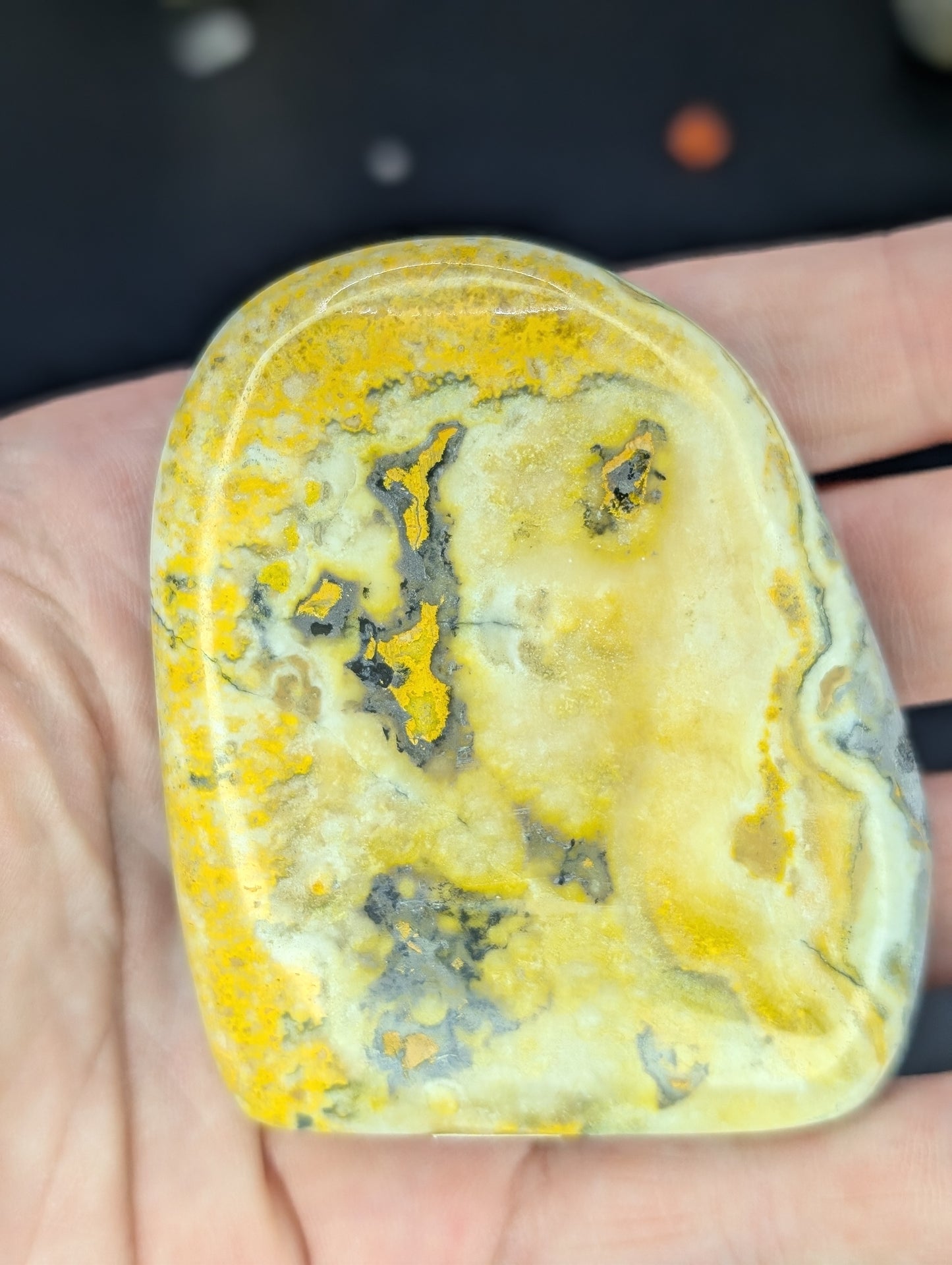 Bumblebee Jasper Freeforms