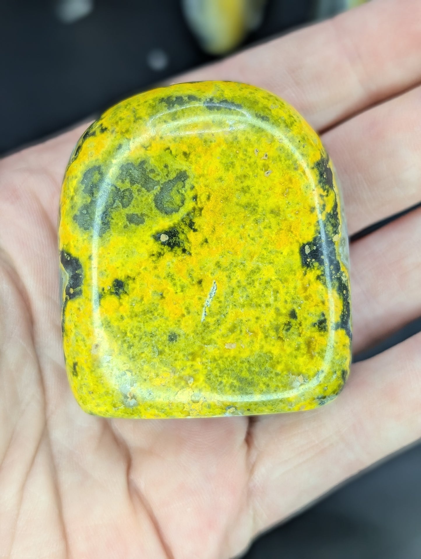 Bumblebee Jasper Freeforms