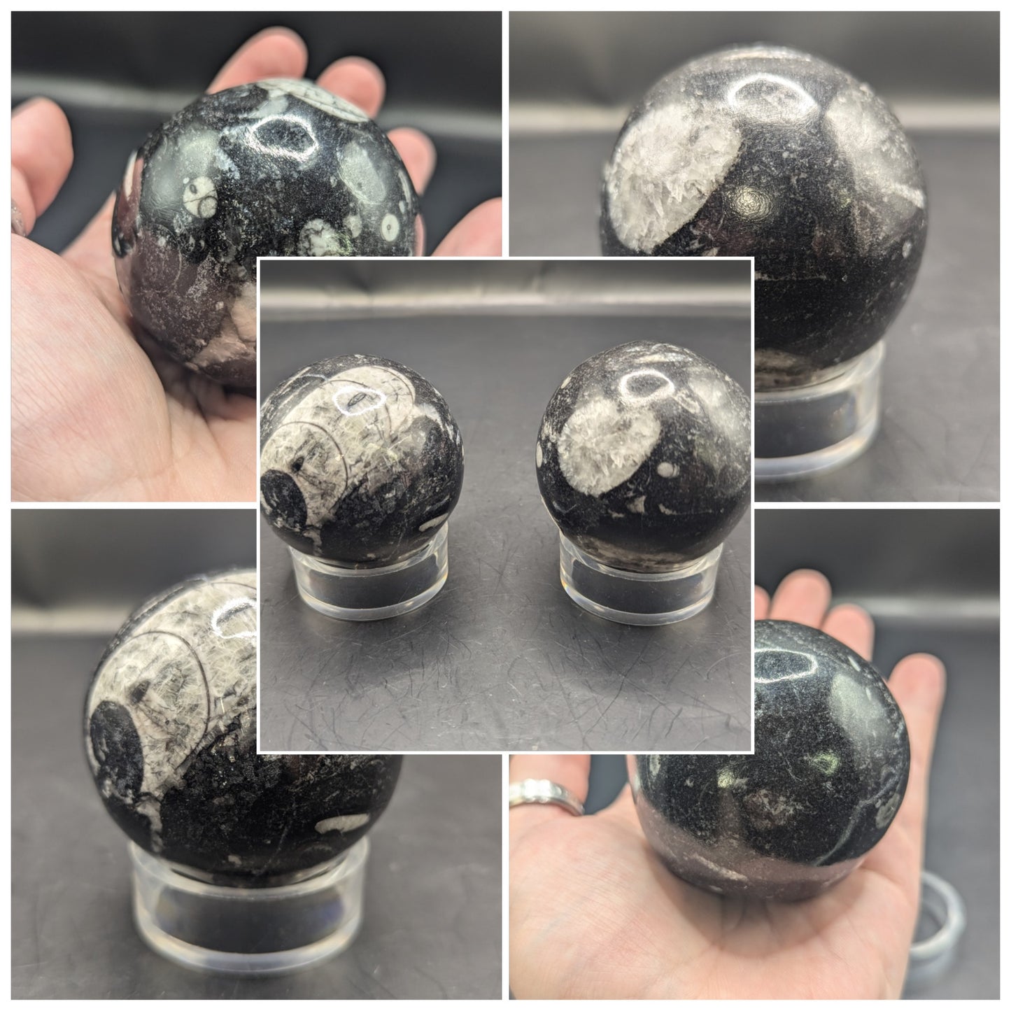 Orthoceras Sphere