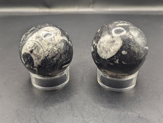 Orthoceras Sphere