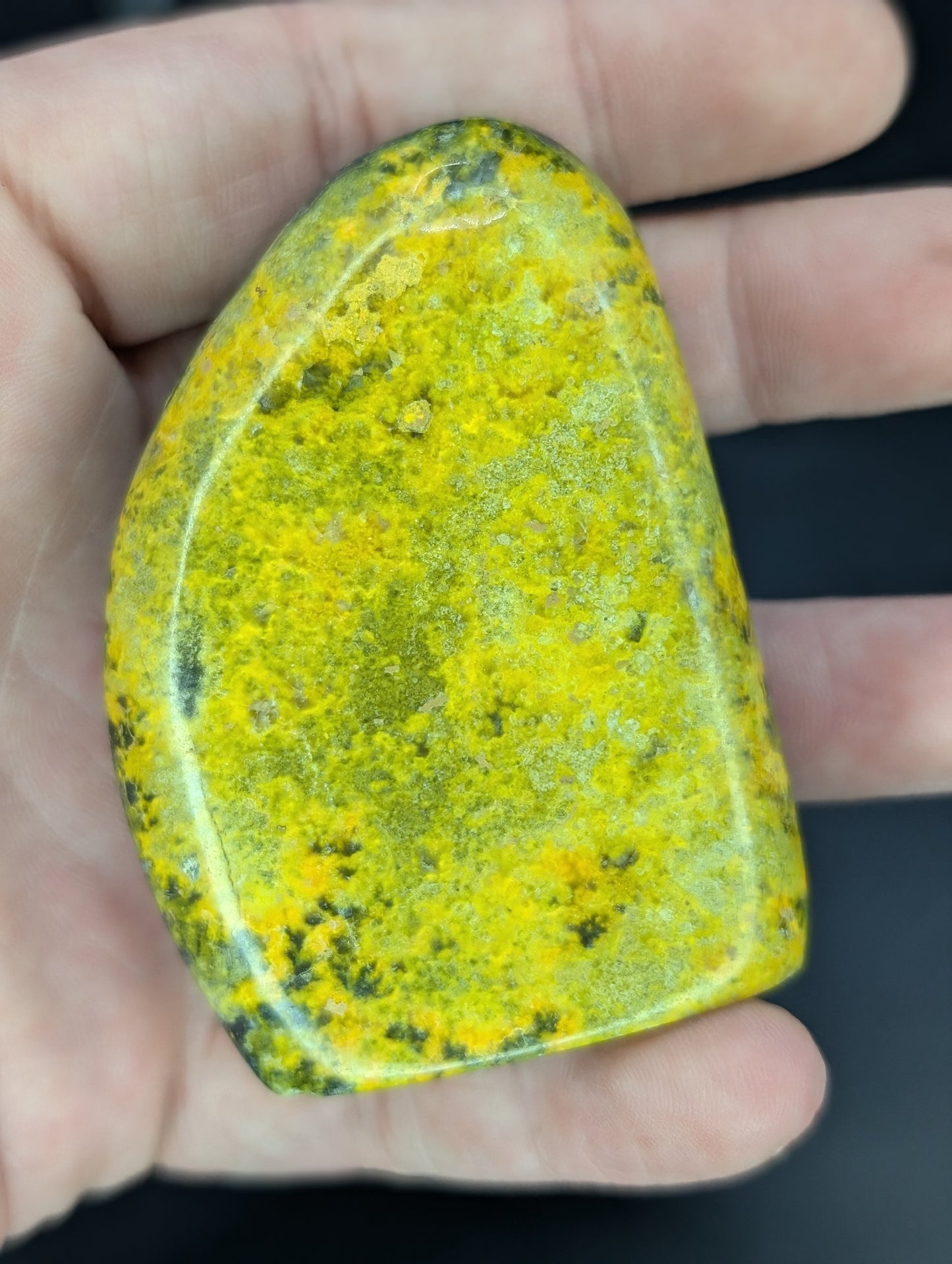 Bumblebee Jasper Freeforms