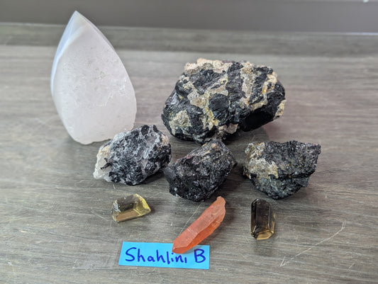 ~ Reserved for Shahlini