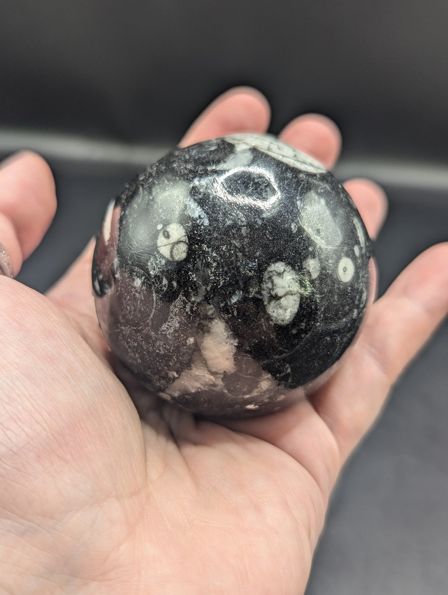 Orthoceras Sphere