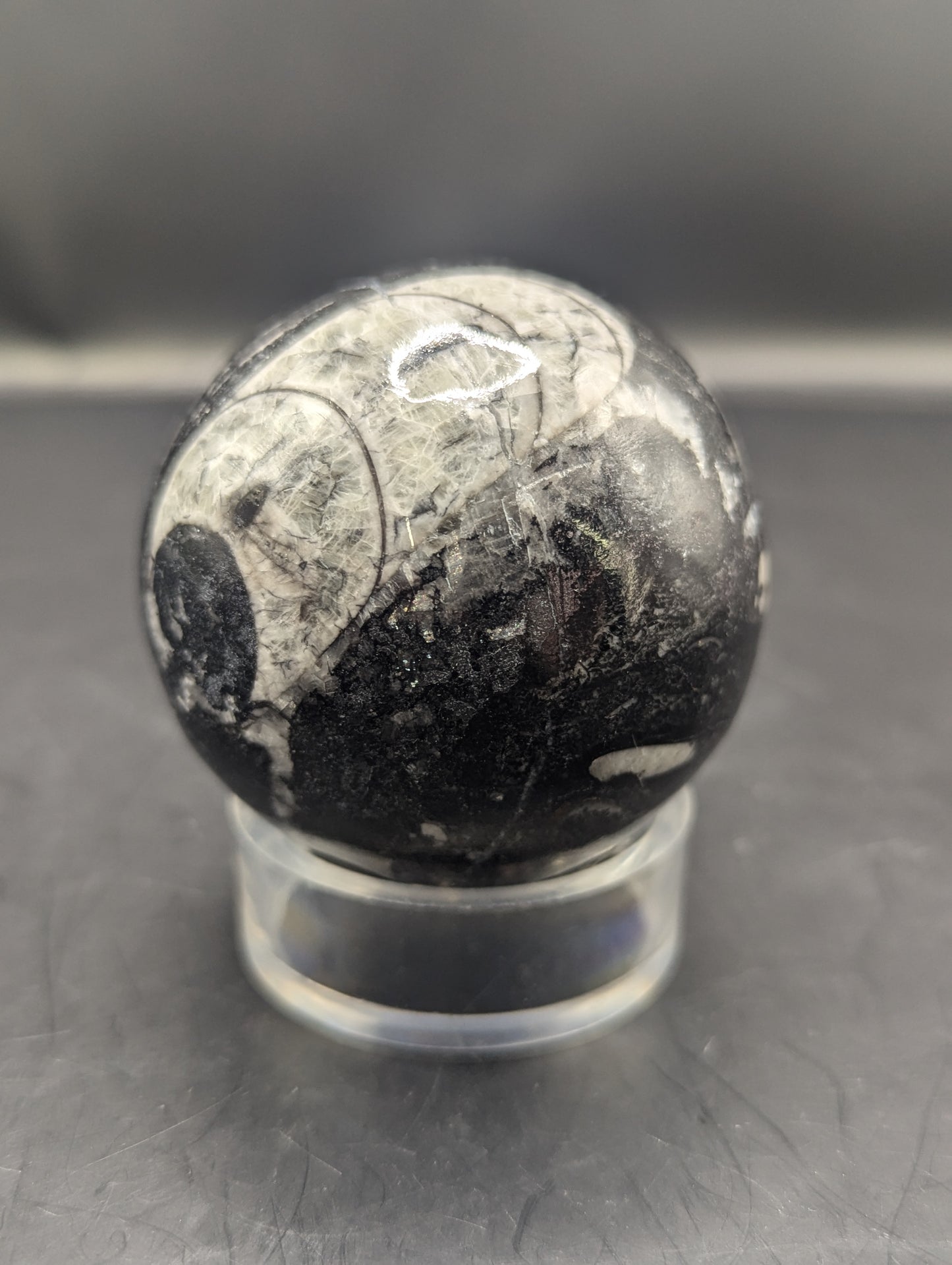 Orthoceras Sphere