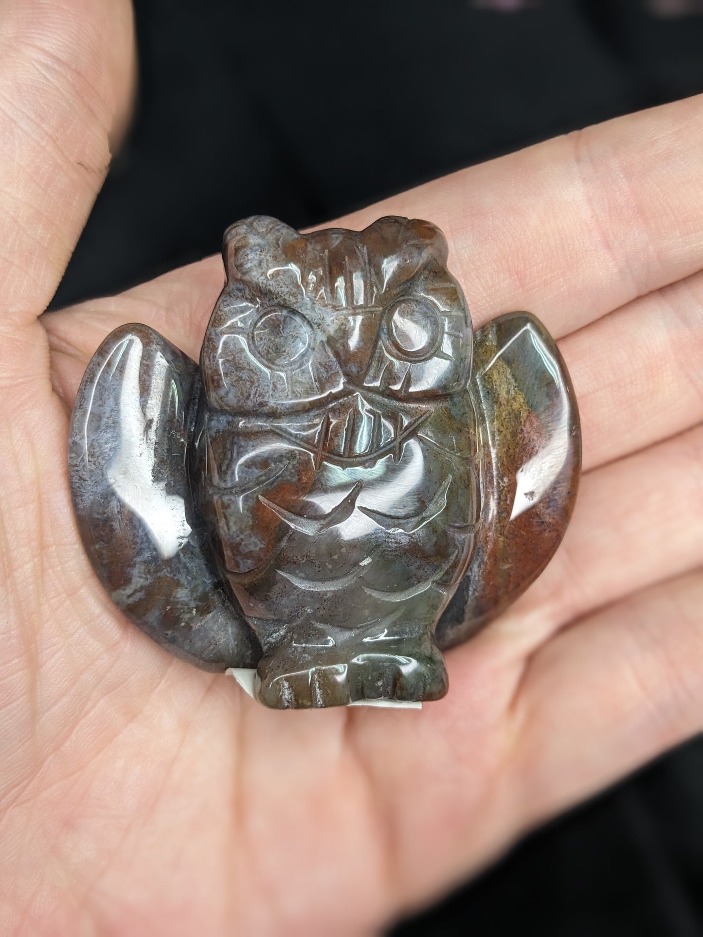 Ocean Jasper Owl