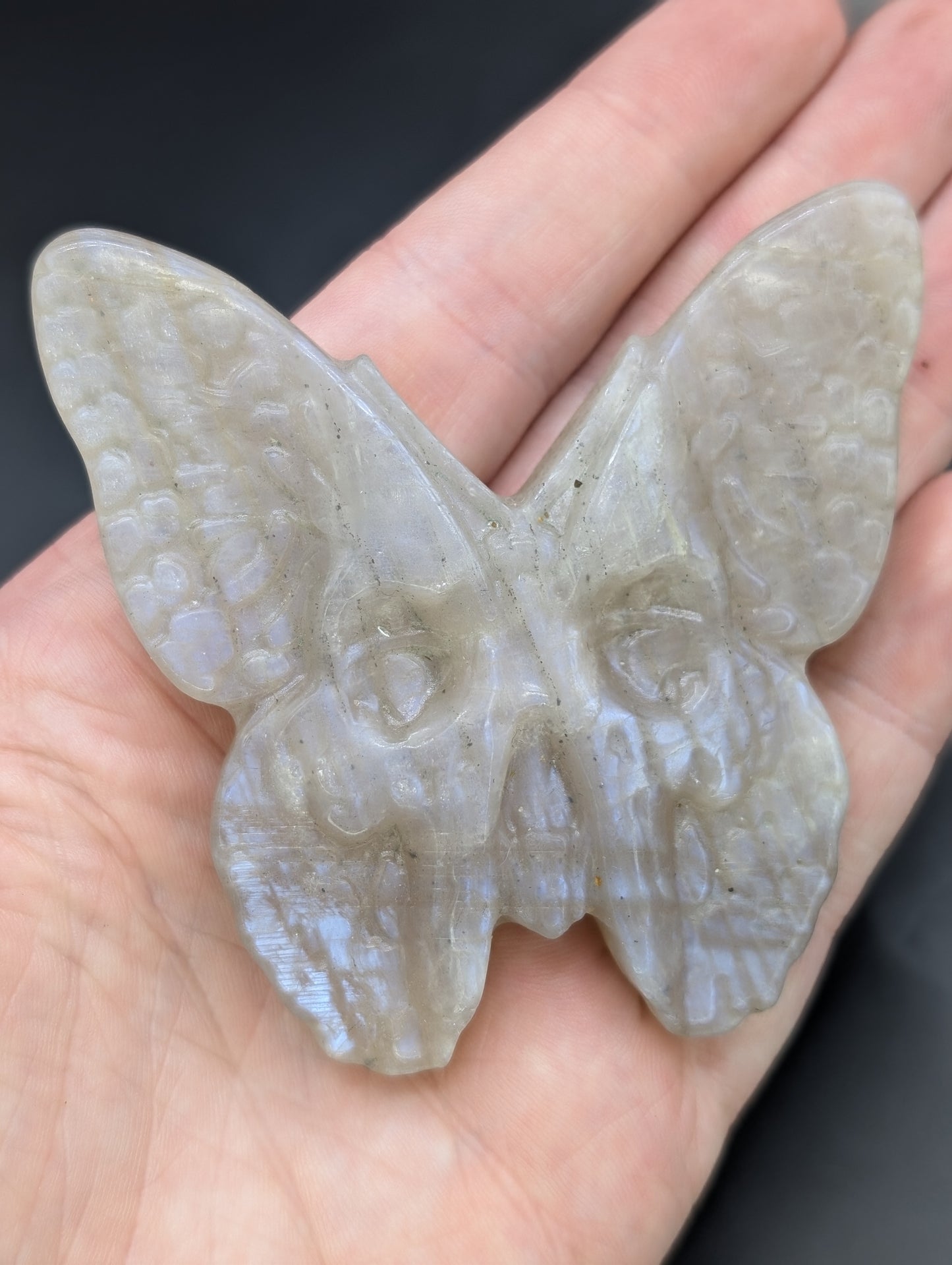 Crystal Moth Skull "Skullerflies" Carvings