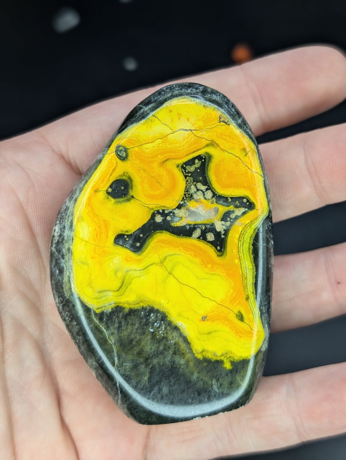 Bumblebee Jasper Freeforms