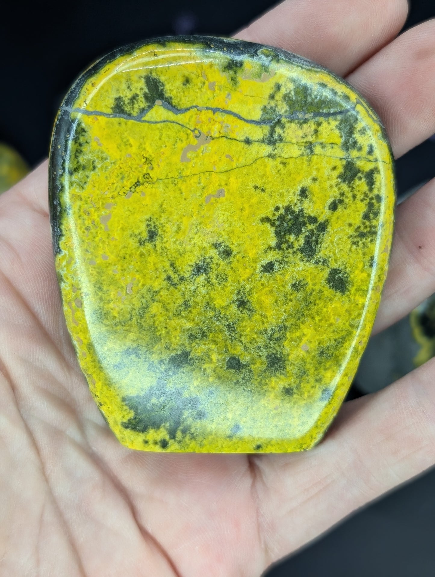 Bumblebee Jasper Freeforms