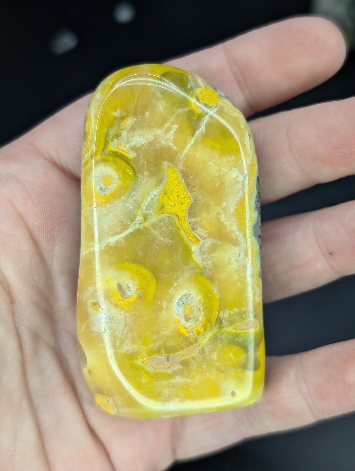 Bumblebee Jasper Freeforms